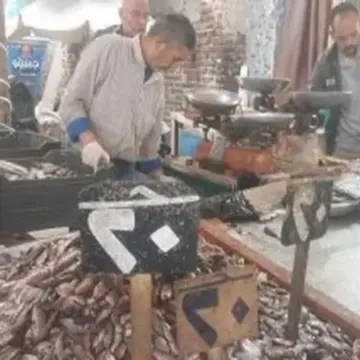 تبدأ من 20 جنيها.. أسعار الأسماك في أسواق دمياط اليوم الأحد 26 أبريل 2026